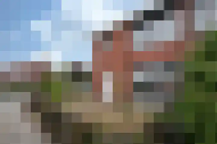 Bergstraat 30 Zegge thumbnail 6
