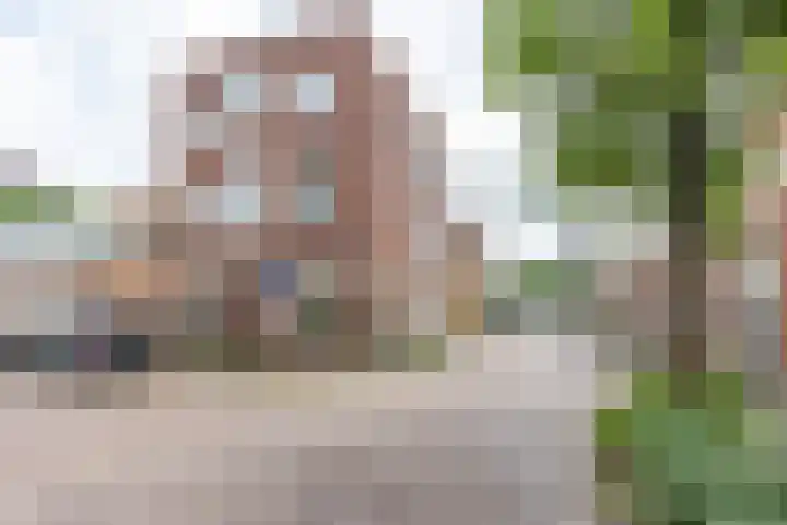 Bergstraat 35 Groningen thumbnail 29