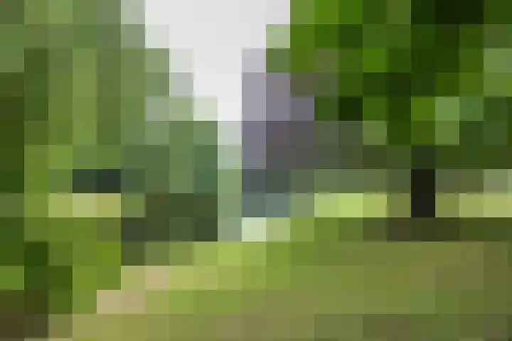 Bergstraat 35 Groningen thumbnail 32