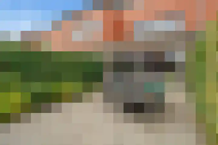 Bergstraat 39 Woerden thumbnail 36
