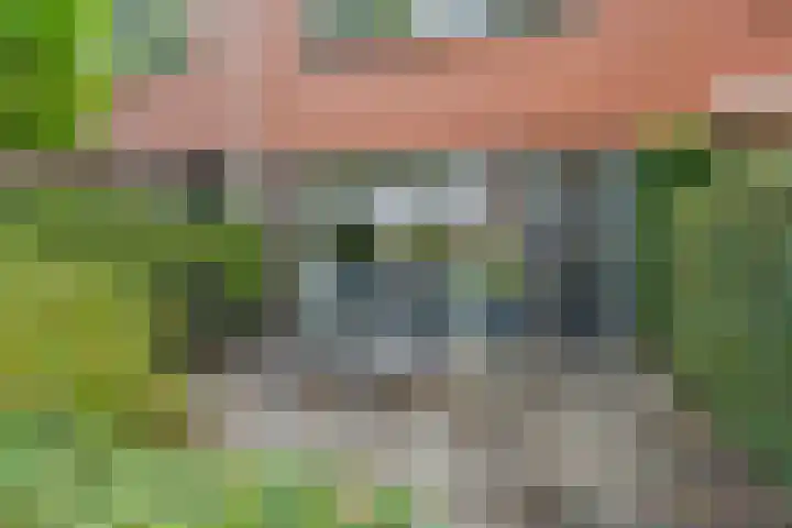 Bergstraat 39 Woerden thumbnail 7