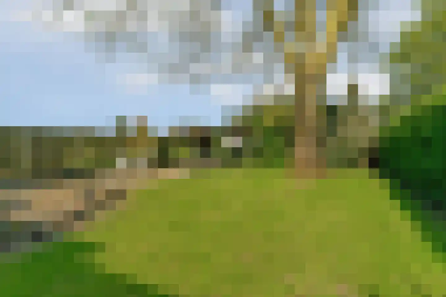 Bergstraat 4 Lent thumbnail 26
