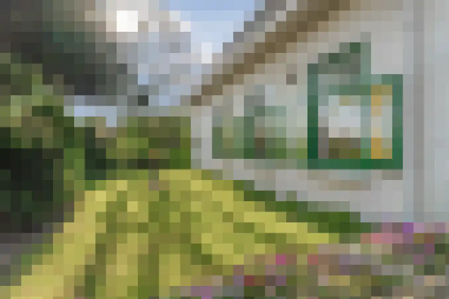 Bergstraat 4 Lent thumbnail 30