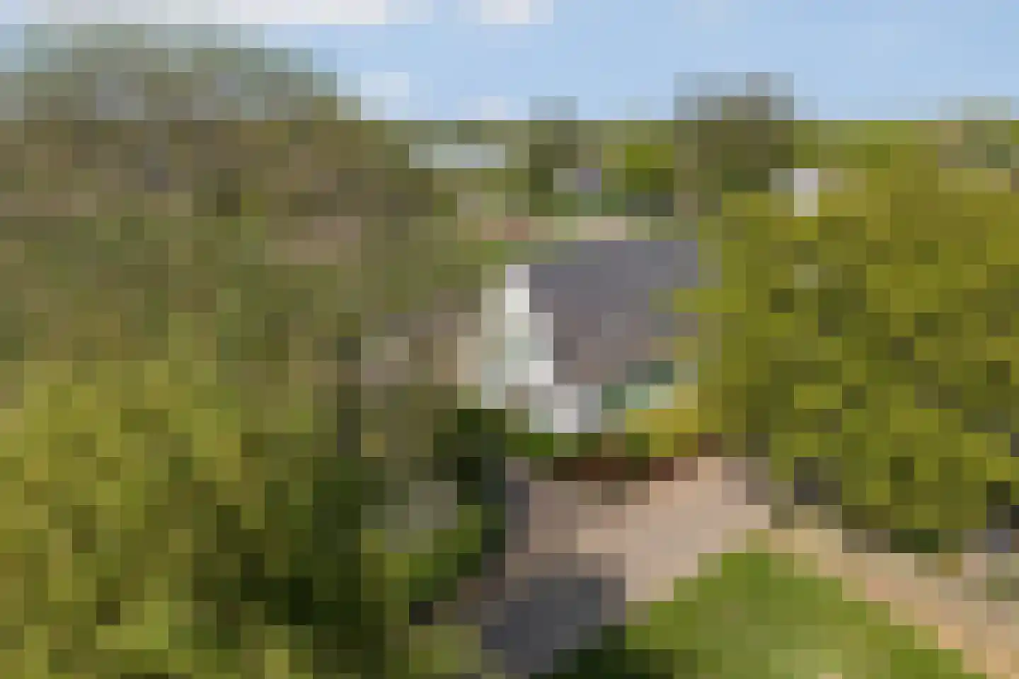 Bergstraat 4 Lent thumbnail 34