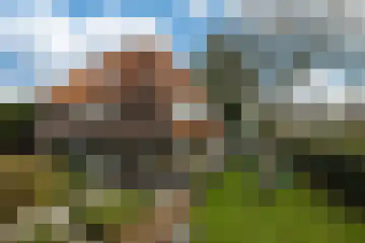 Bergstraat 42 Doesburg thumbnail 8