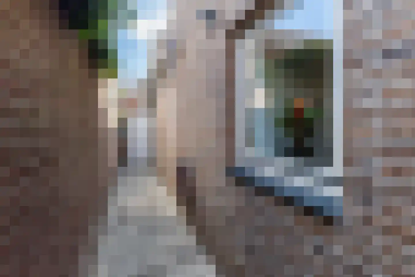 Bergstraat 42 Egmond aan Zee thumbnail 6