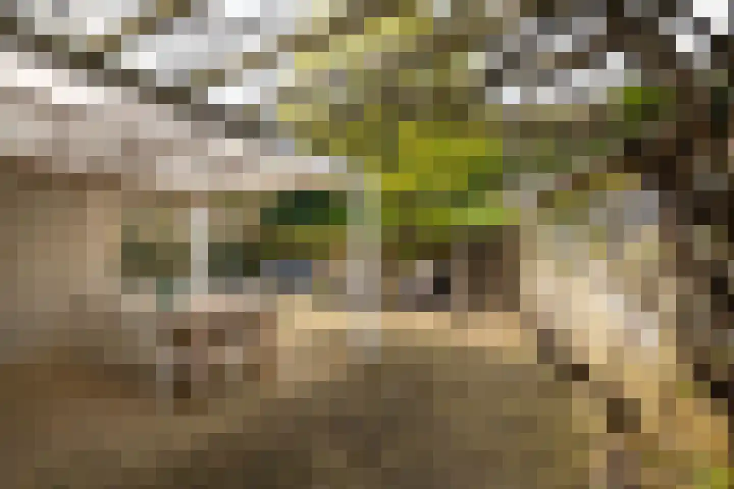Bergstraat 45 Valkenburg thumbnail 21