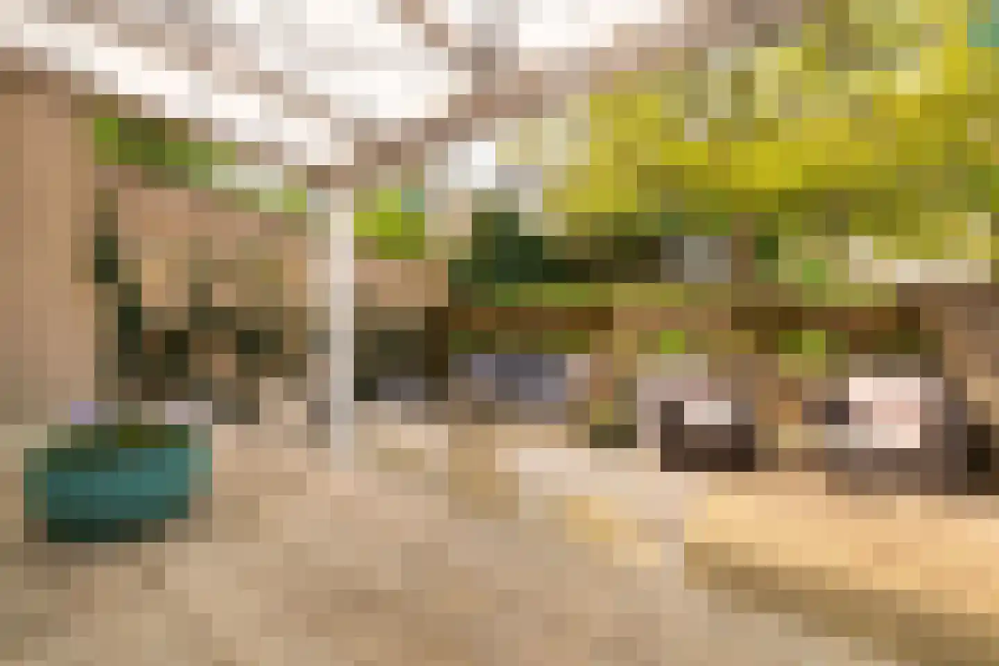 Bergstraat 45 Valkenburg thumbnail 26
