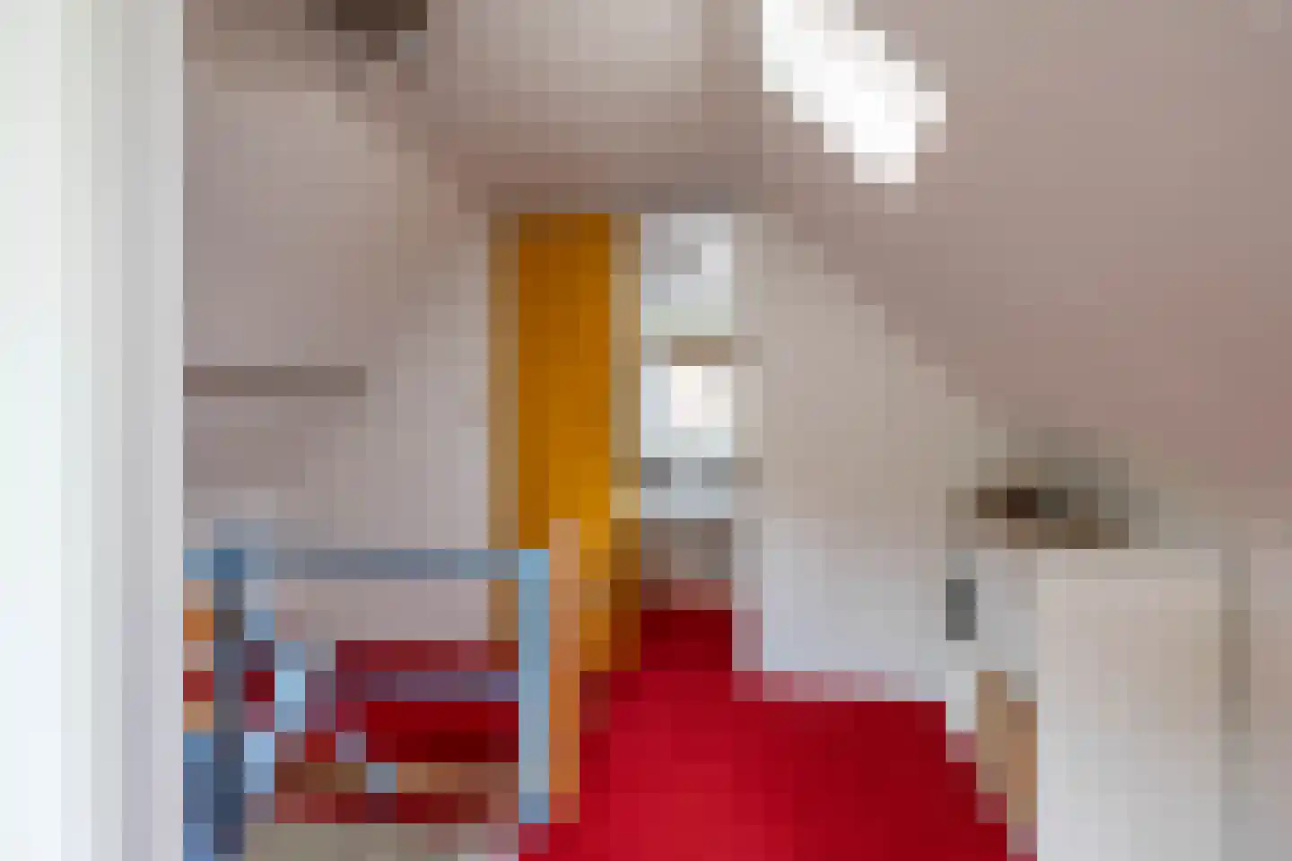 Bergstraat 47 Groningen thumbnail 28