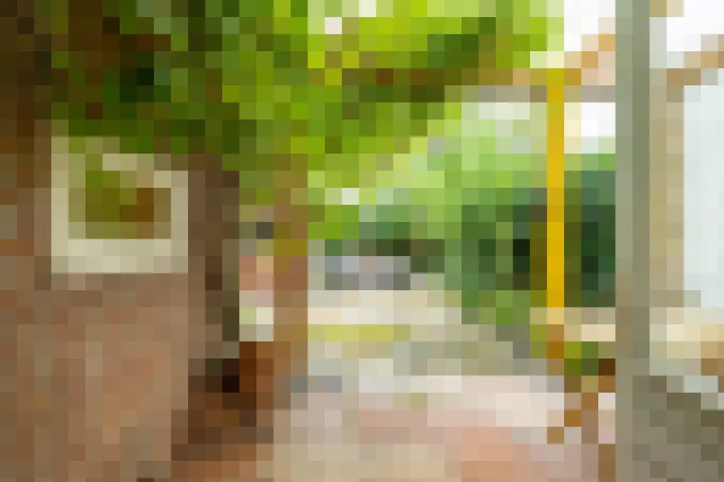 Bergstraat 47 Groningen thumbnail 32