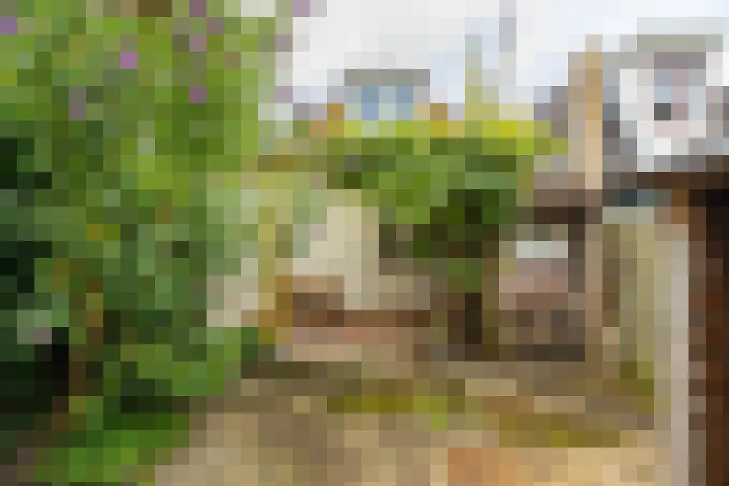 Bergstraat 47 Groningen thumbnail 33