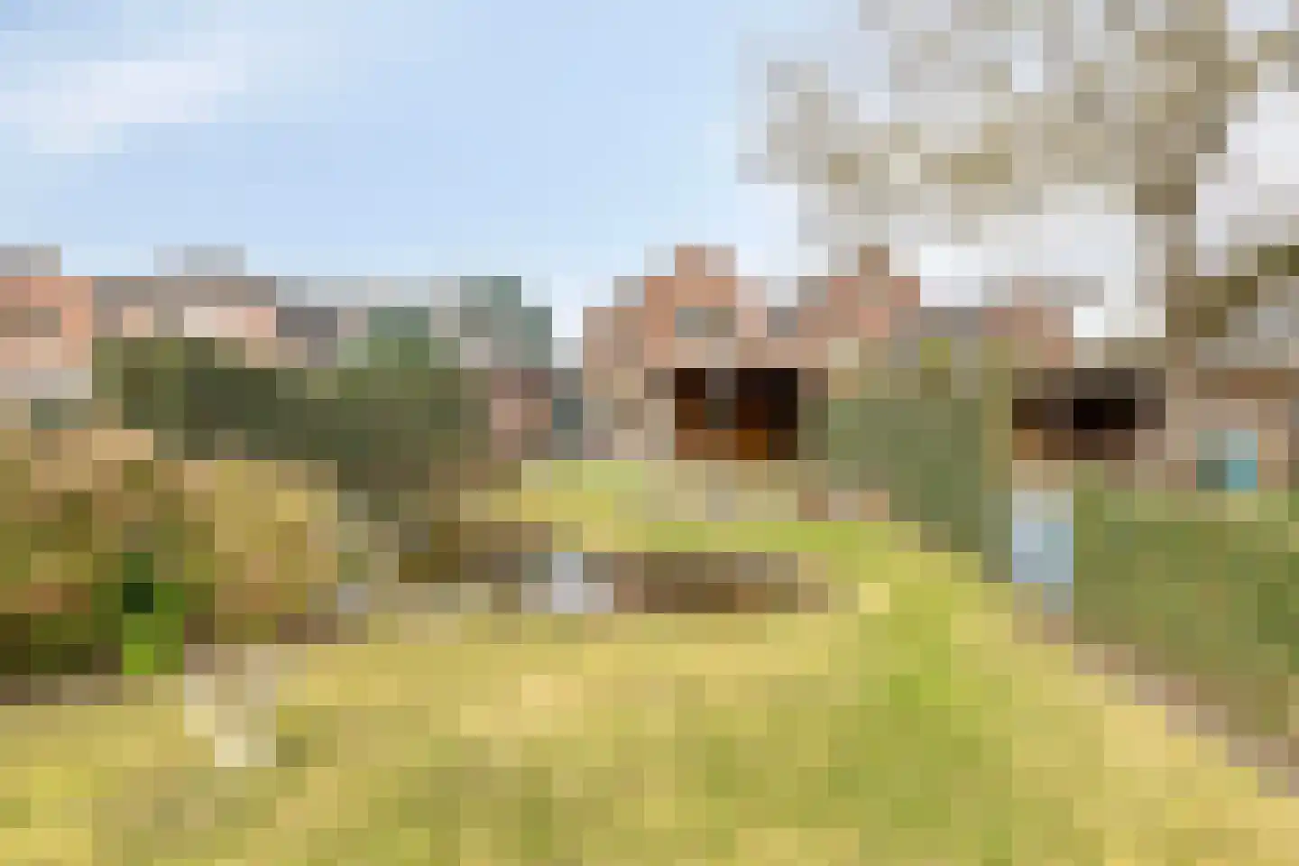 Bergstraat 48 Loon op Zand thumbnail 22