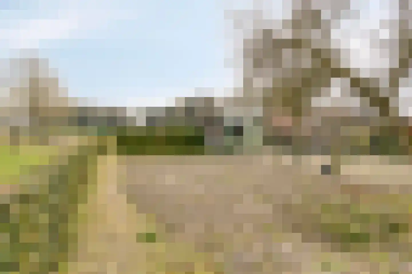 Bergstraat 48 Loon op Zand thumbnail 23