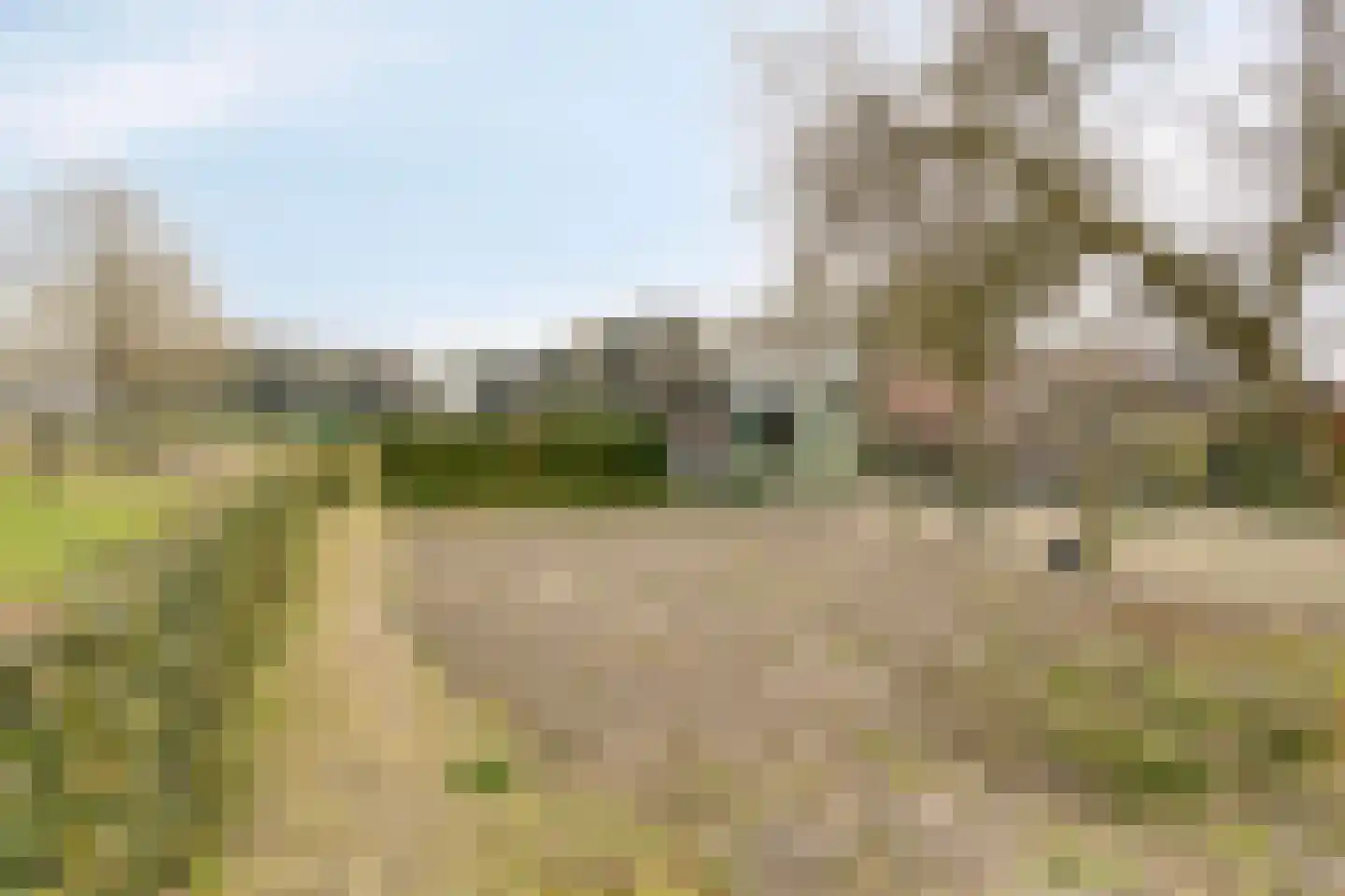 Bergstraat 48 Loon op Zand thumbnail 26