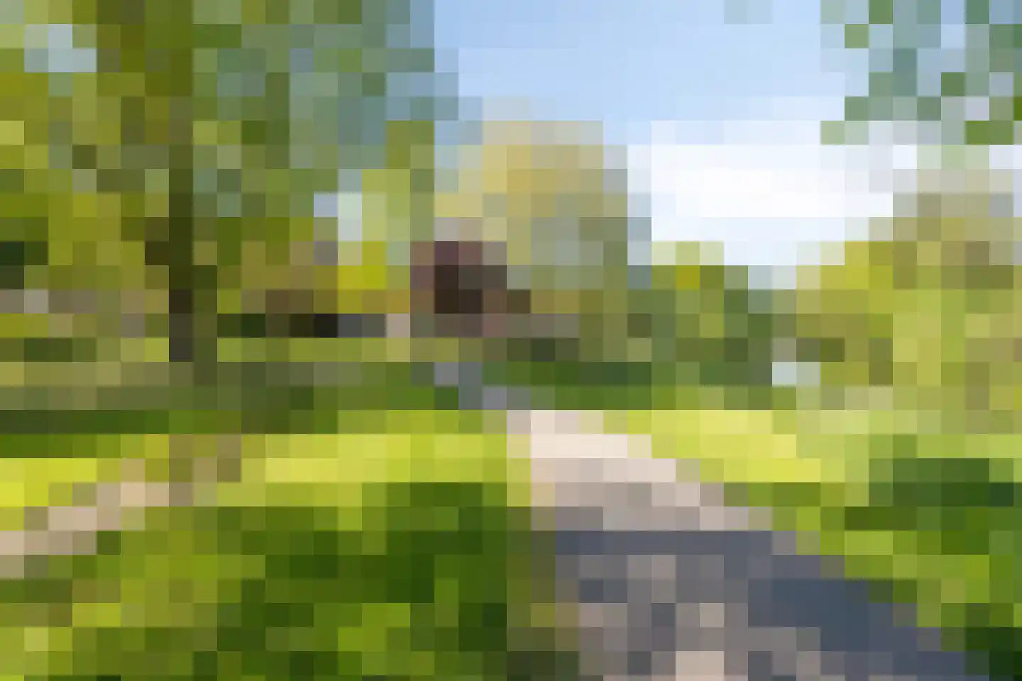 Bergstraat 55 Doesburg thumbnail 48