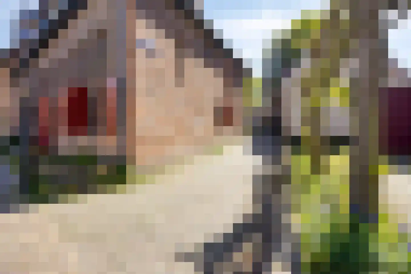 Bergstraat 55 Doesburg thumbnail 54