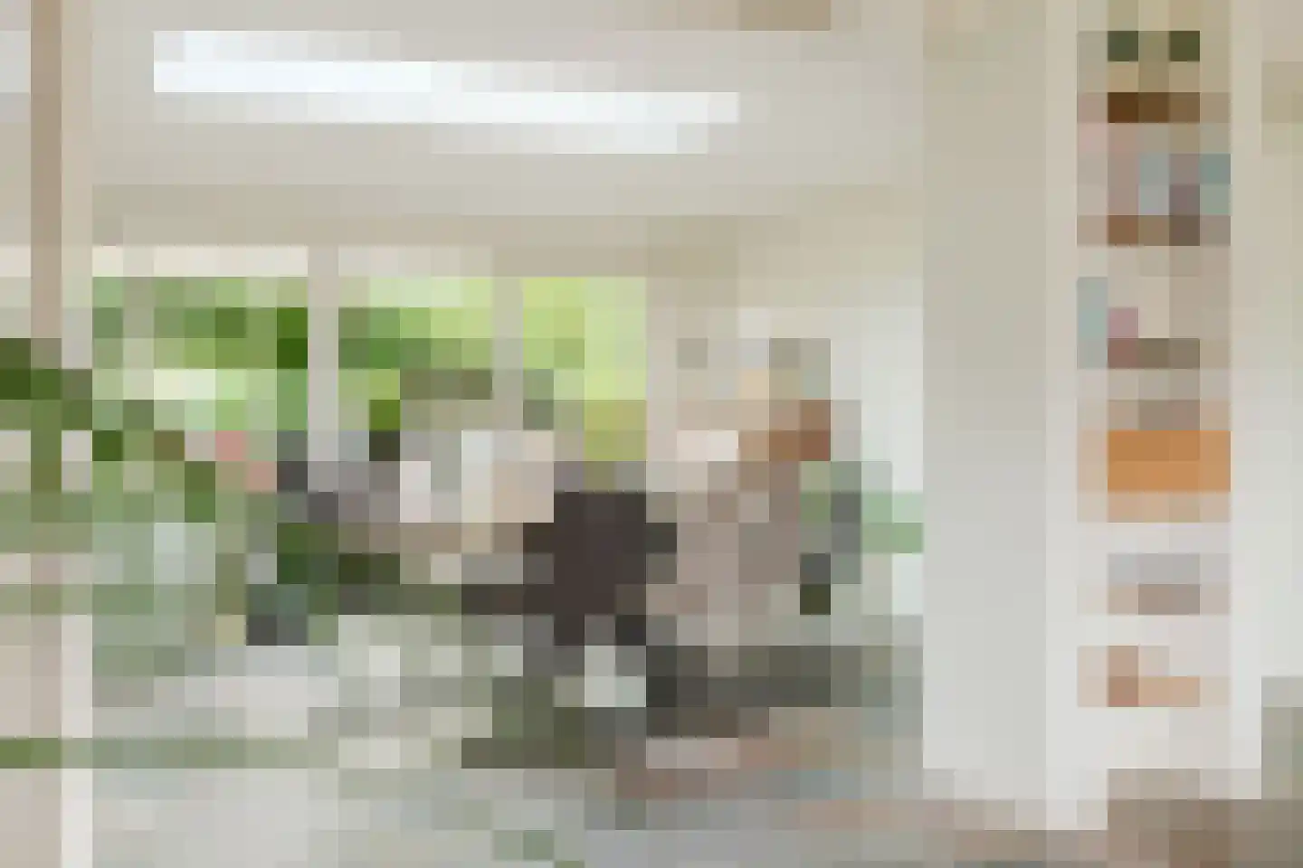Bergstraat 6 Liempde thumbnail 17