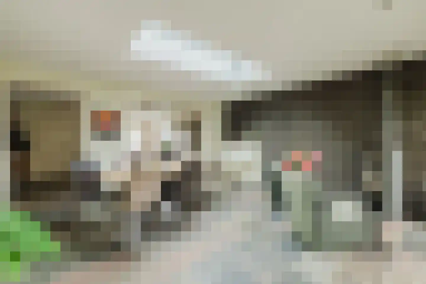 Bergstraat 6 Liempde thumbnail 20