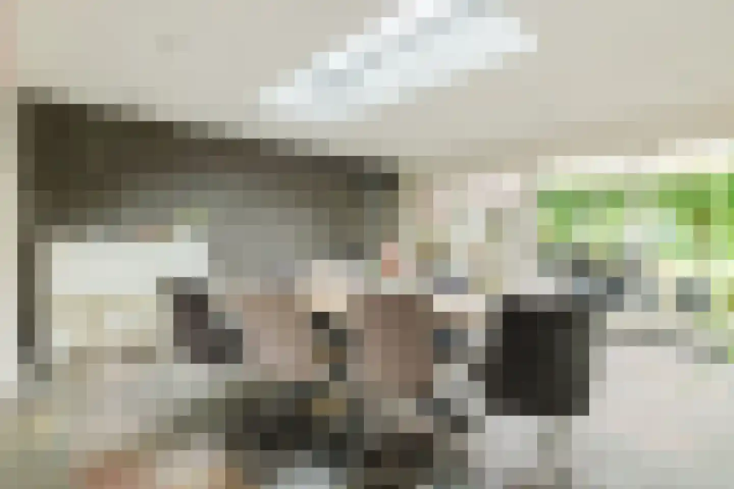 Bergstraat 6 Liempde thumbnail 21