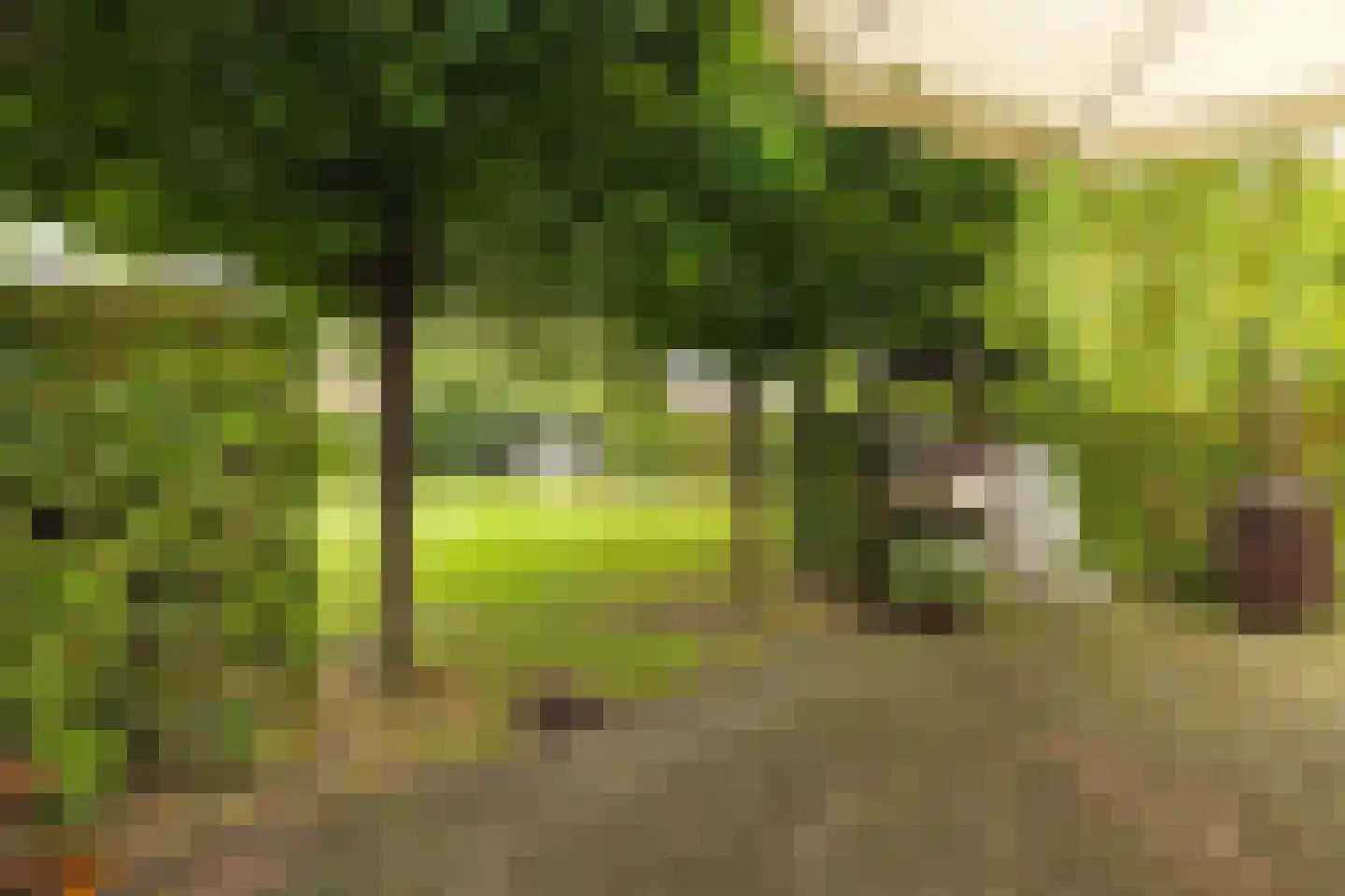 Bergstraat 6 Liempde thumbnail 50