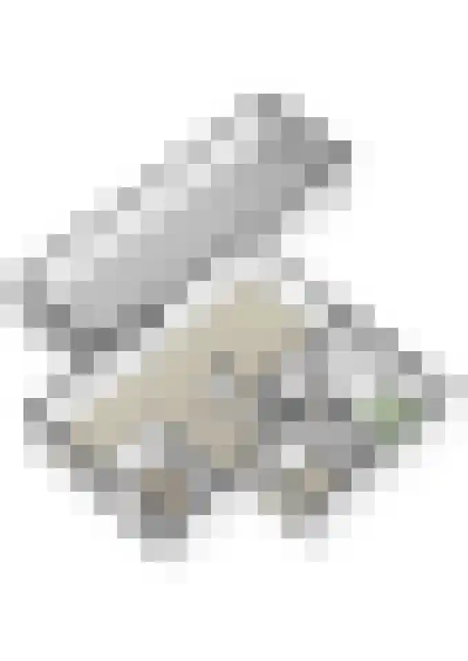Bergstraat 6 Liempde thumbnail 60