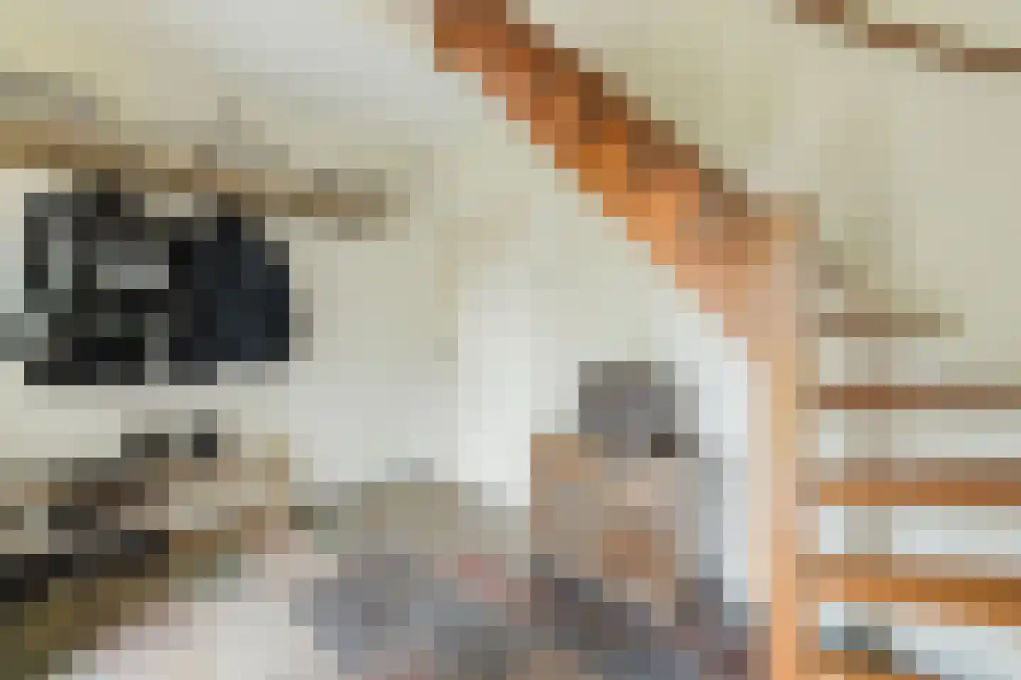 Bergstraat 6 Liempde thumbnail 9