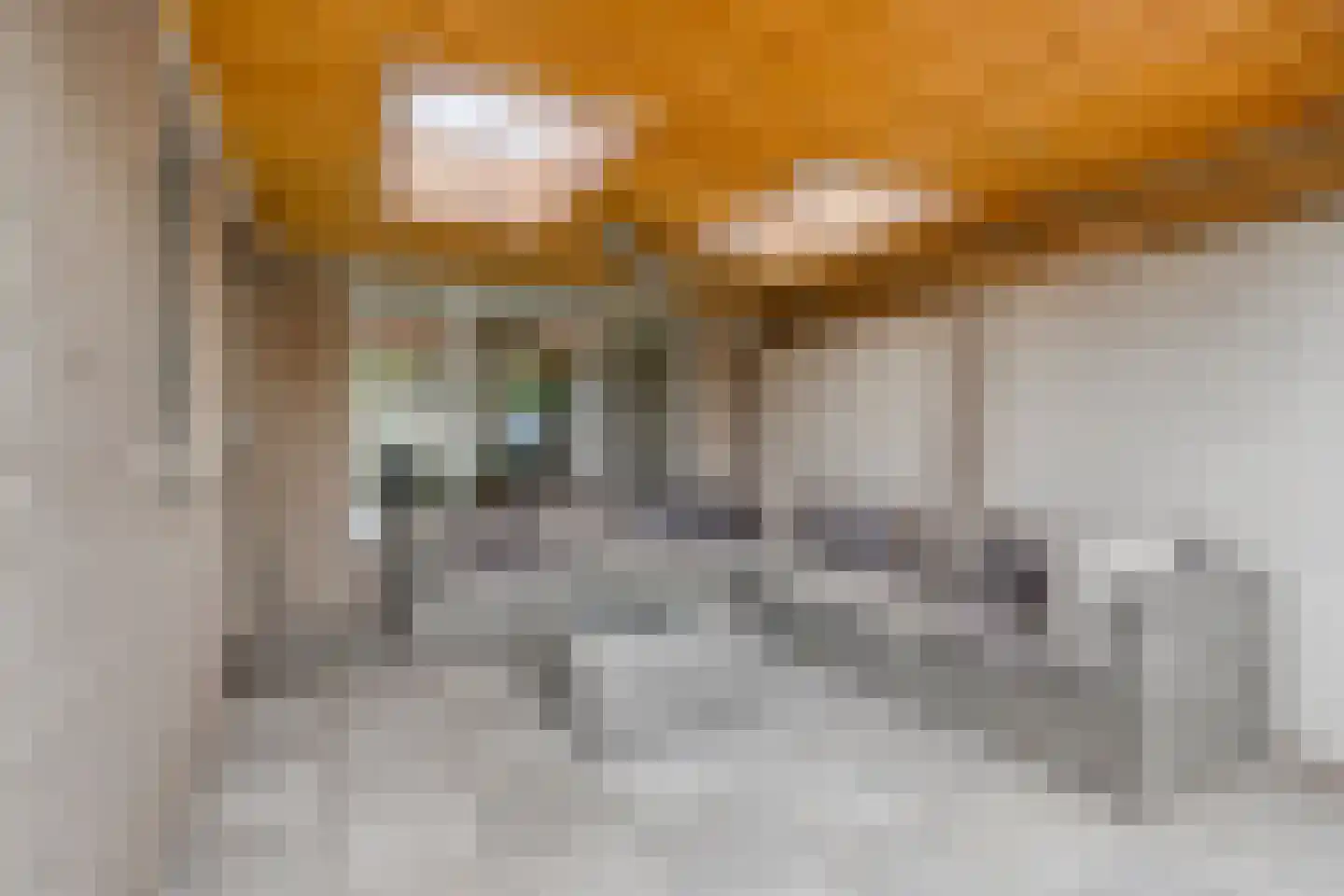 Bergstraat 61 Valkenswaard thumbnail 41