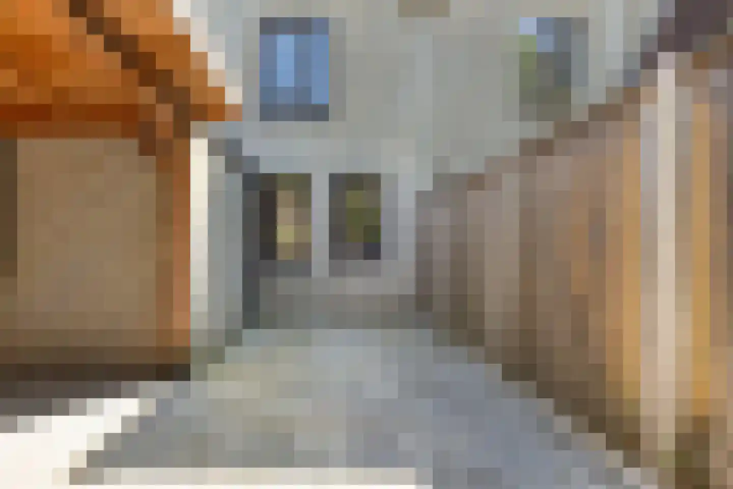 Bergstraat 68 Neede thumbnail 26