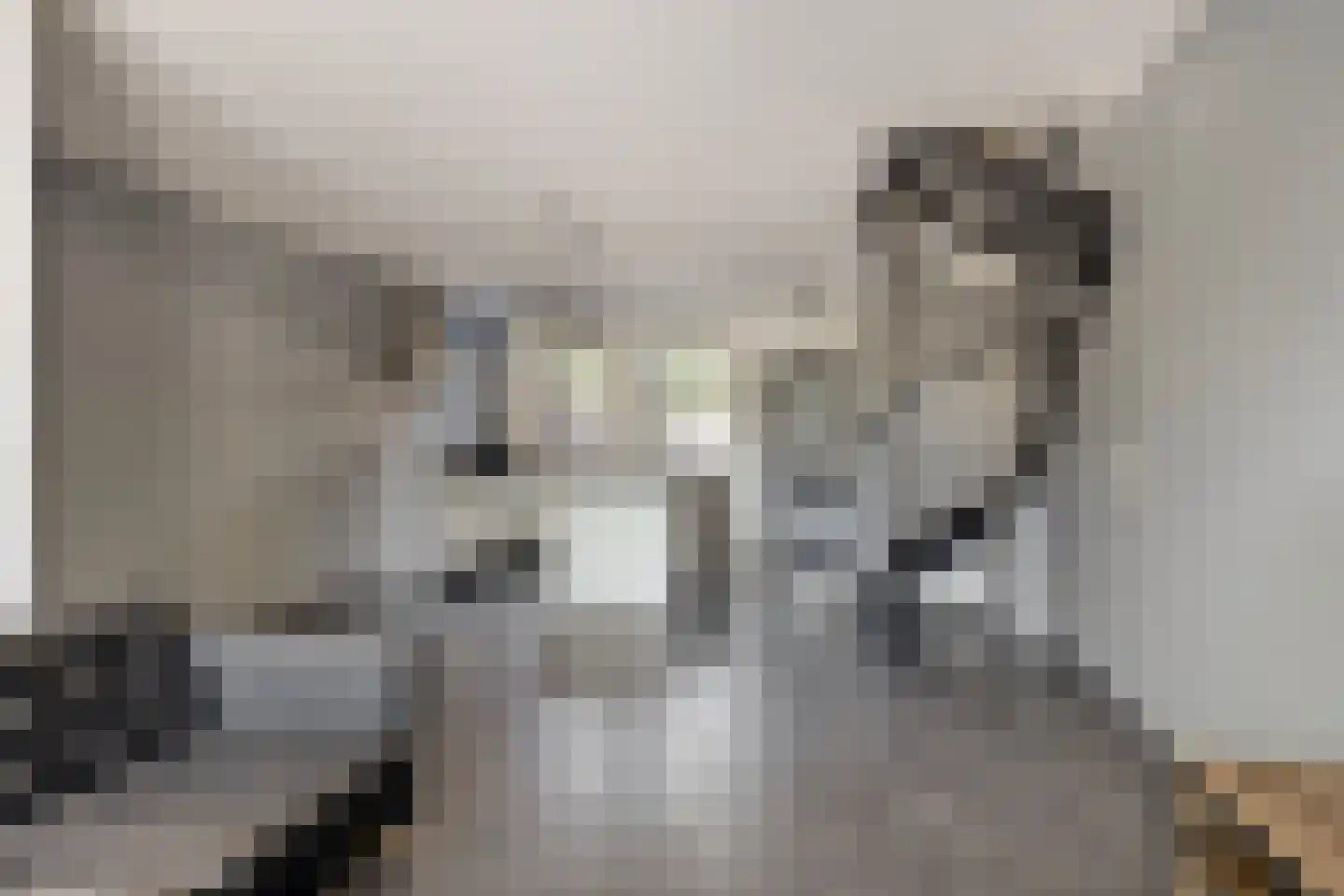 Bergstraat 68 Neede thumbnail 6