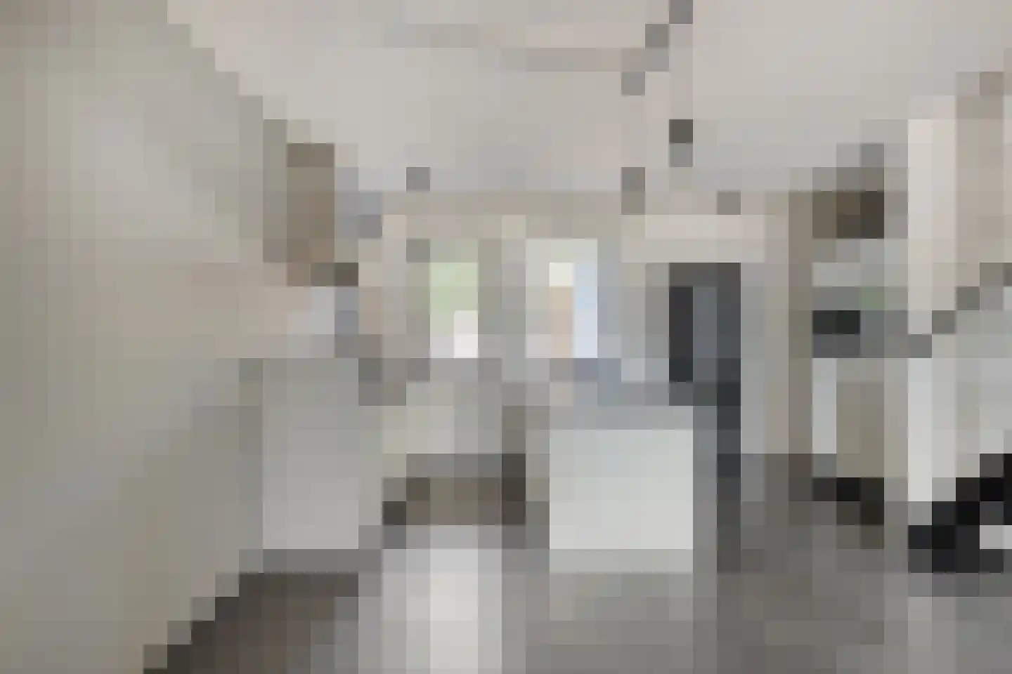 Bergstraat 68 Neede thumbnail 7