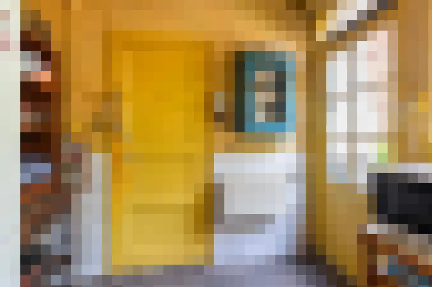 Bergstraat 69 Doesburg thumbnail 9