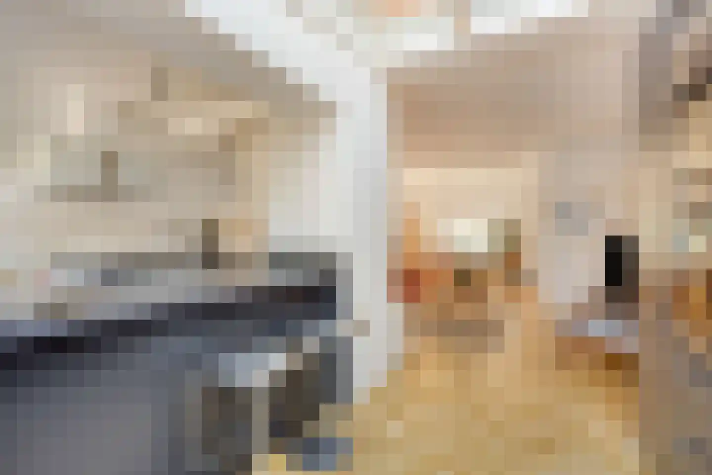 Bergstraat 7 Uitgeest thumbnail 12