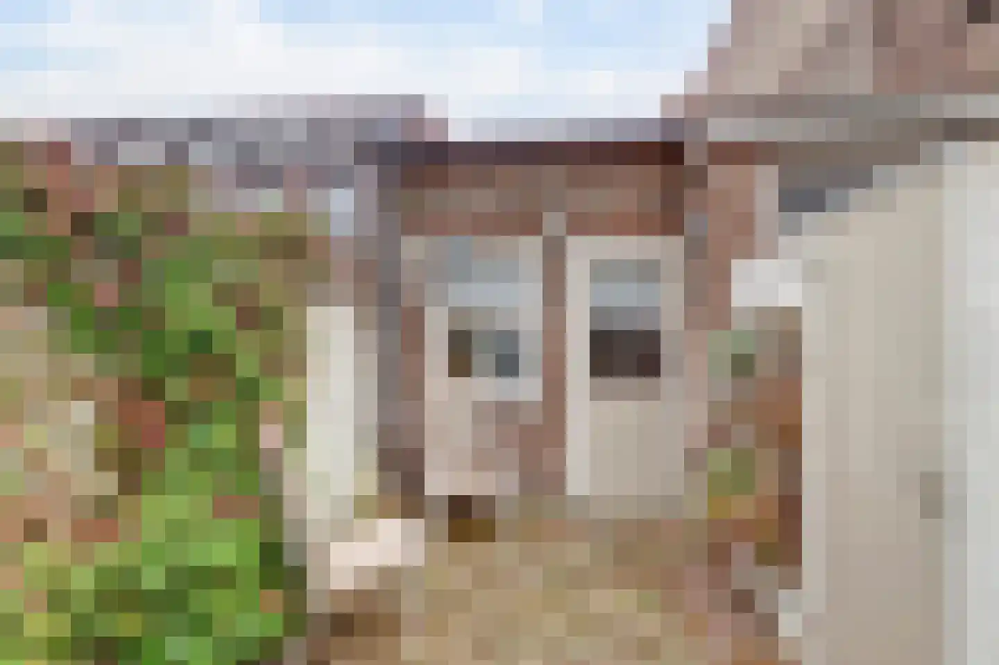 Bergstraat 74 Leerdam thumbnail 4