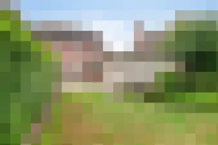Bergstraat 78 Valkenswaard thumbnail 29