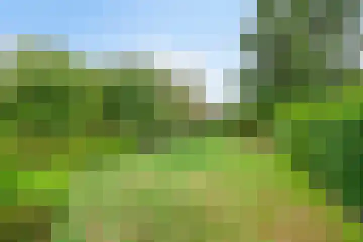 Bergstraat 78 Valkenswaard thumbnail 31
