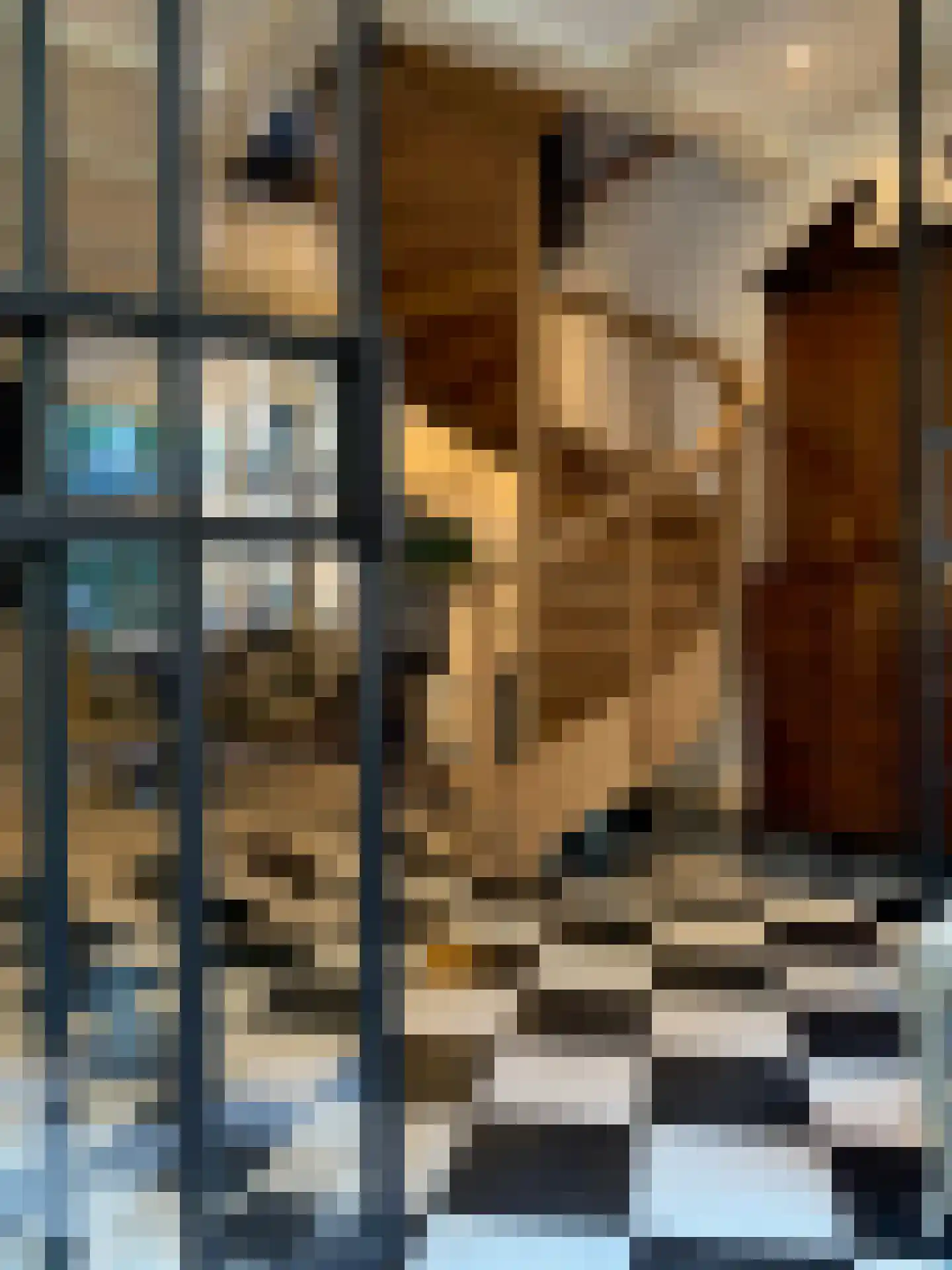 Bergstraat 8 Amsterdam thumbnail 9