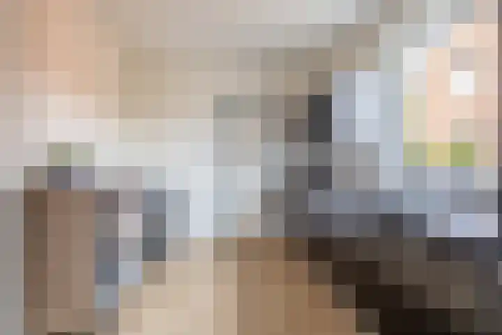 Bergstraat 8 Belfeld thumbnail 8