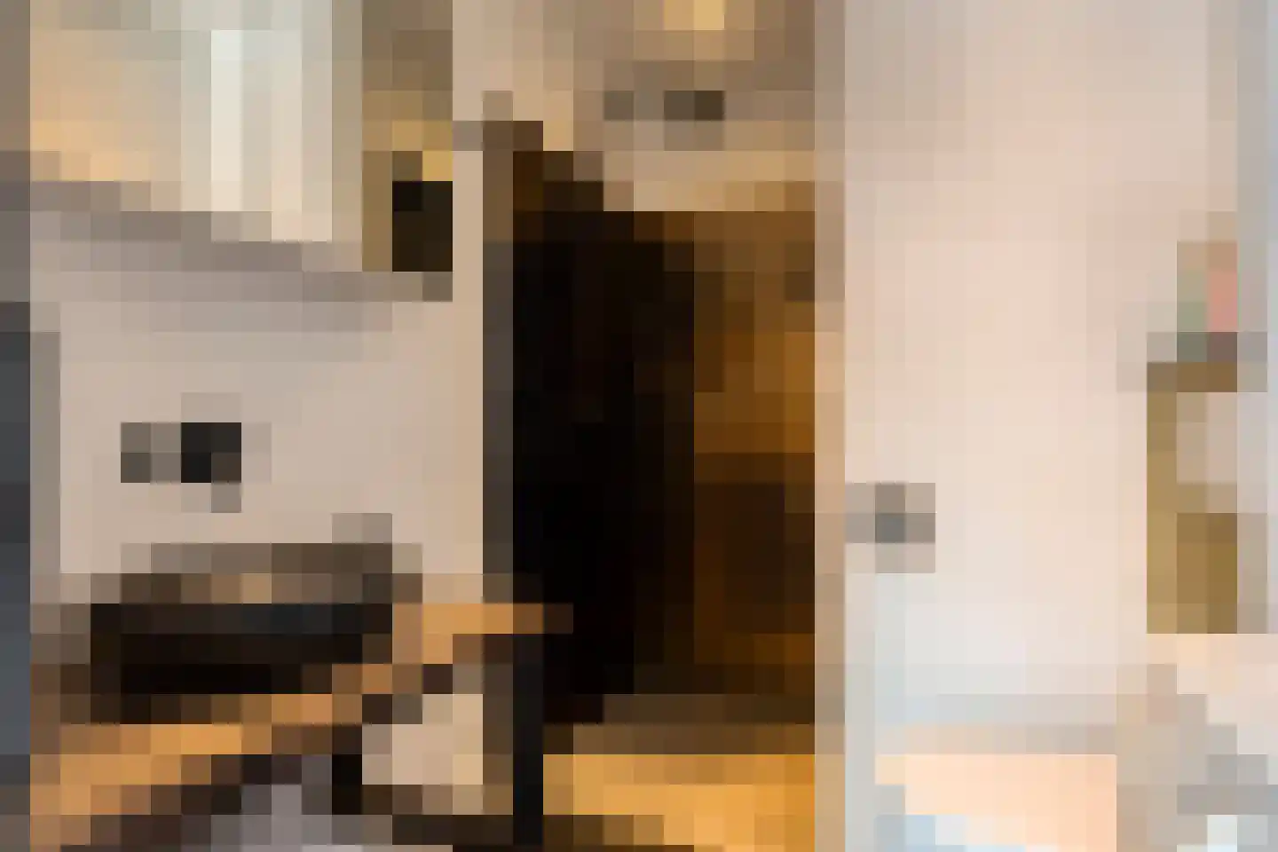 Bergstraat 8 Bis Eindhoven thumbnail 18