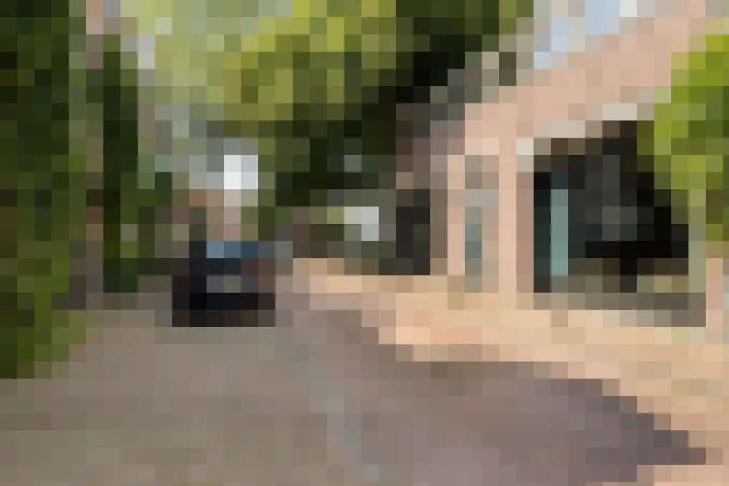 Bergstraat 8 Bis Eindhoven thumbnail 25
