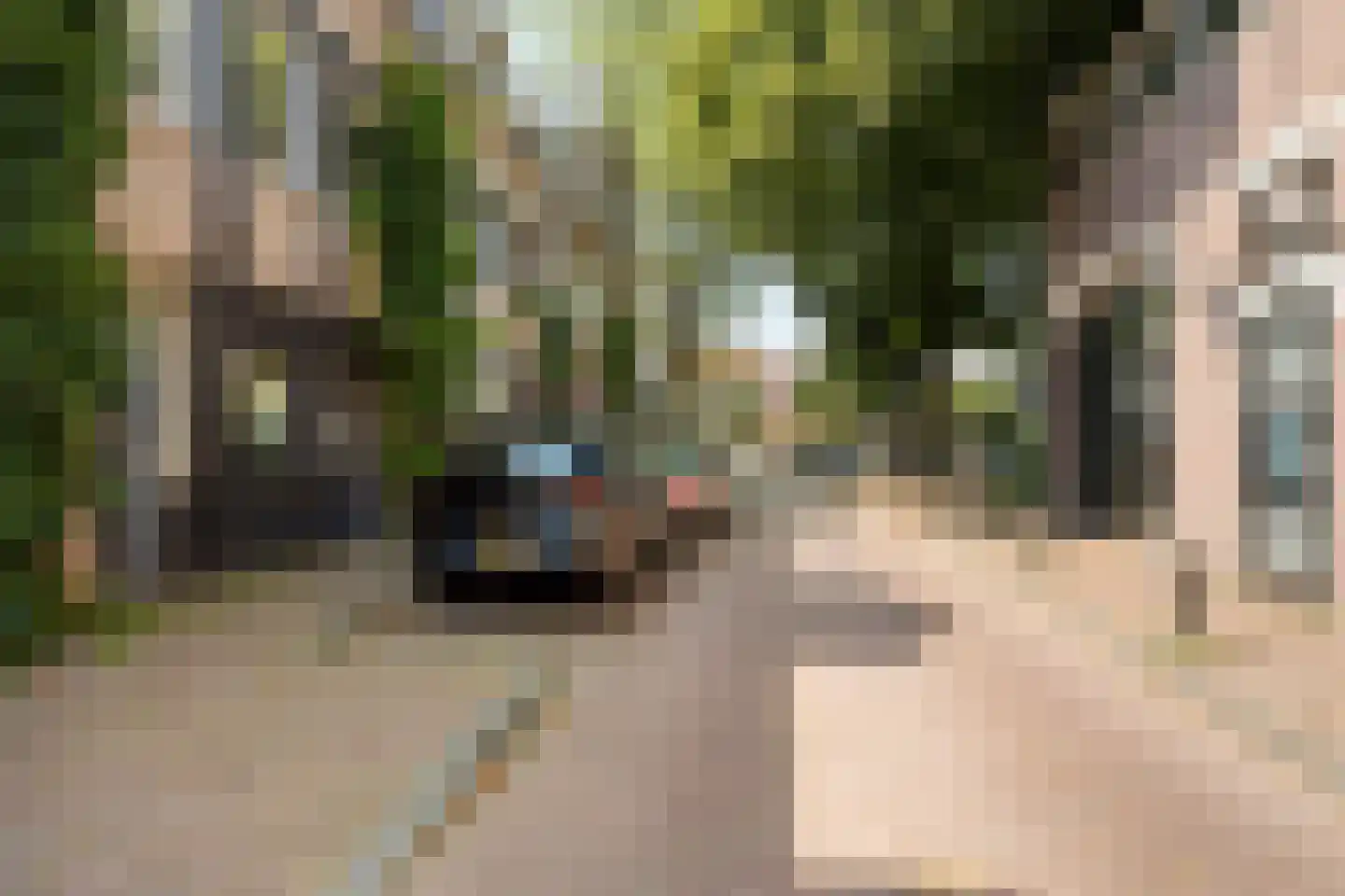 Bergstraat 8 Bis Eindhoven thumbnail 4