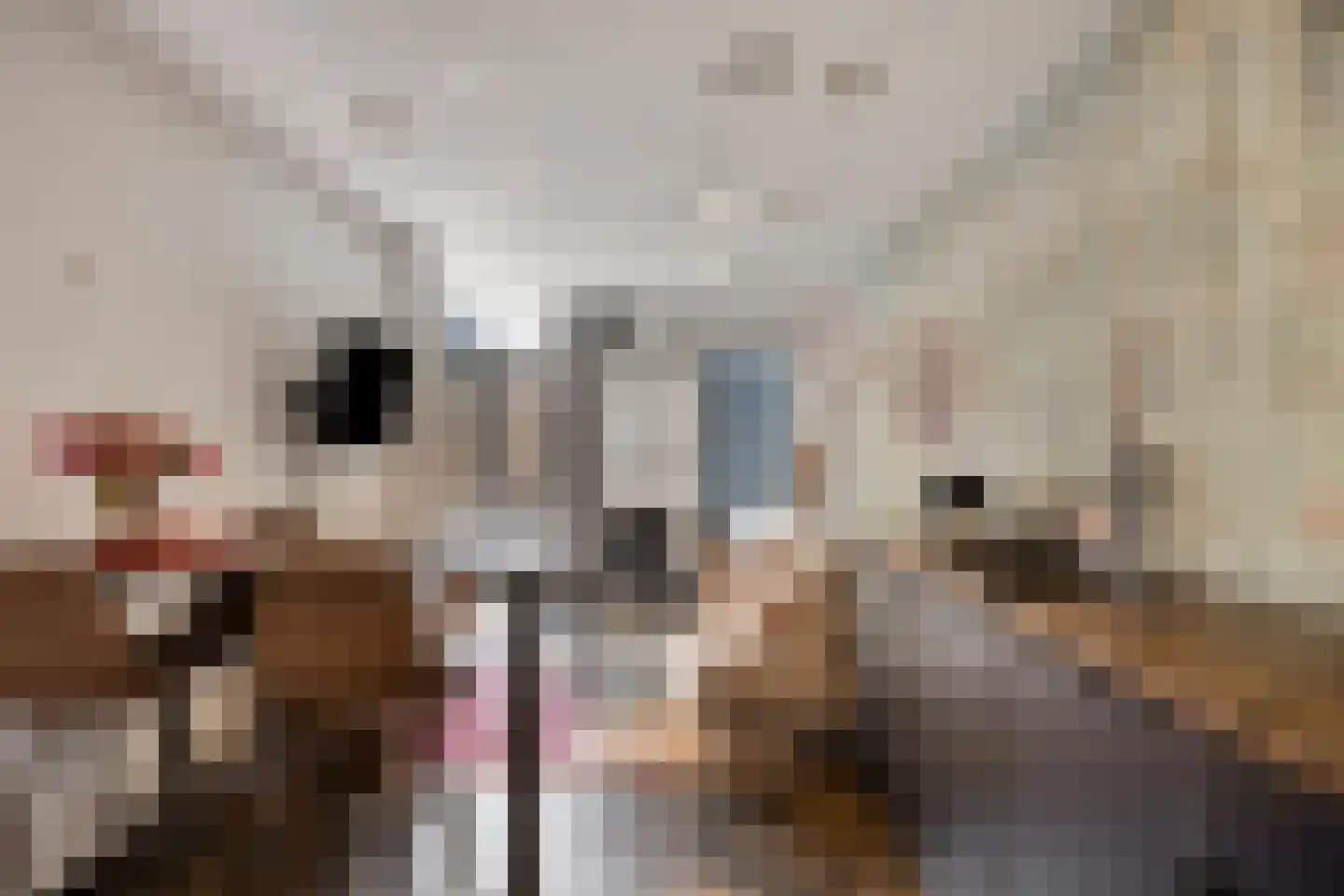 Bergstraat 8 Bis Eindhoven thumbnail 9