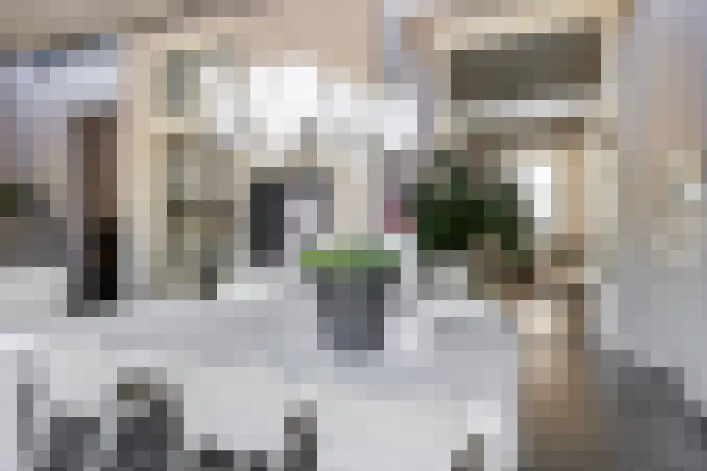 Bergstraat 9 Doesburg thumbnail 21