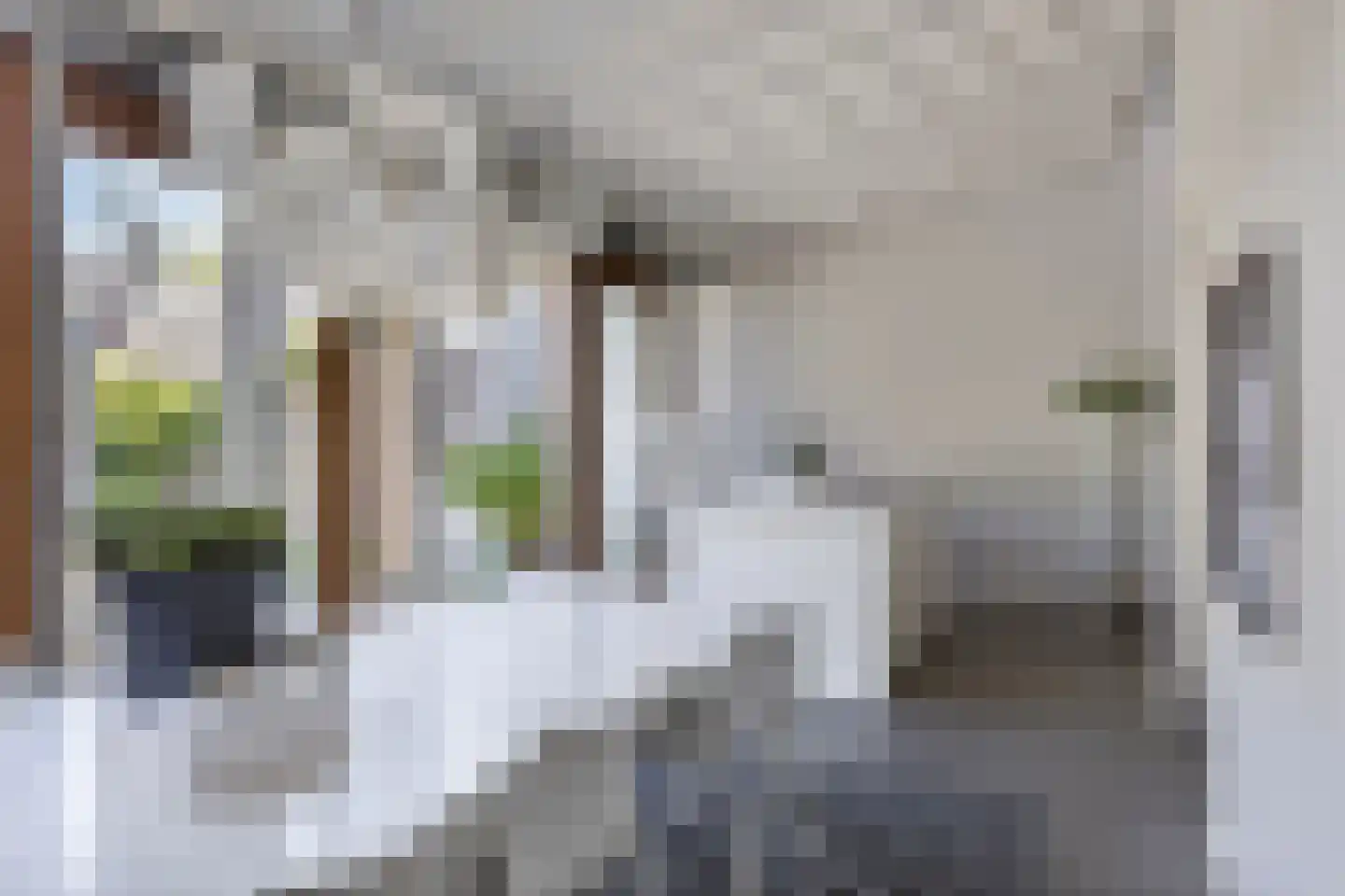 Bergstraat 9 Doesburg thumbnail 25