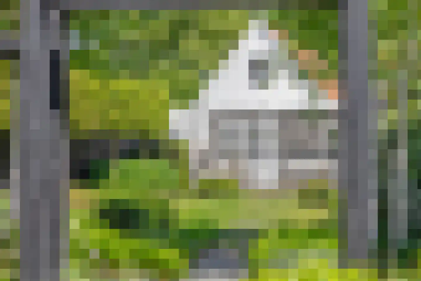 Bergstraat 9 Doesburg thumbnail 5