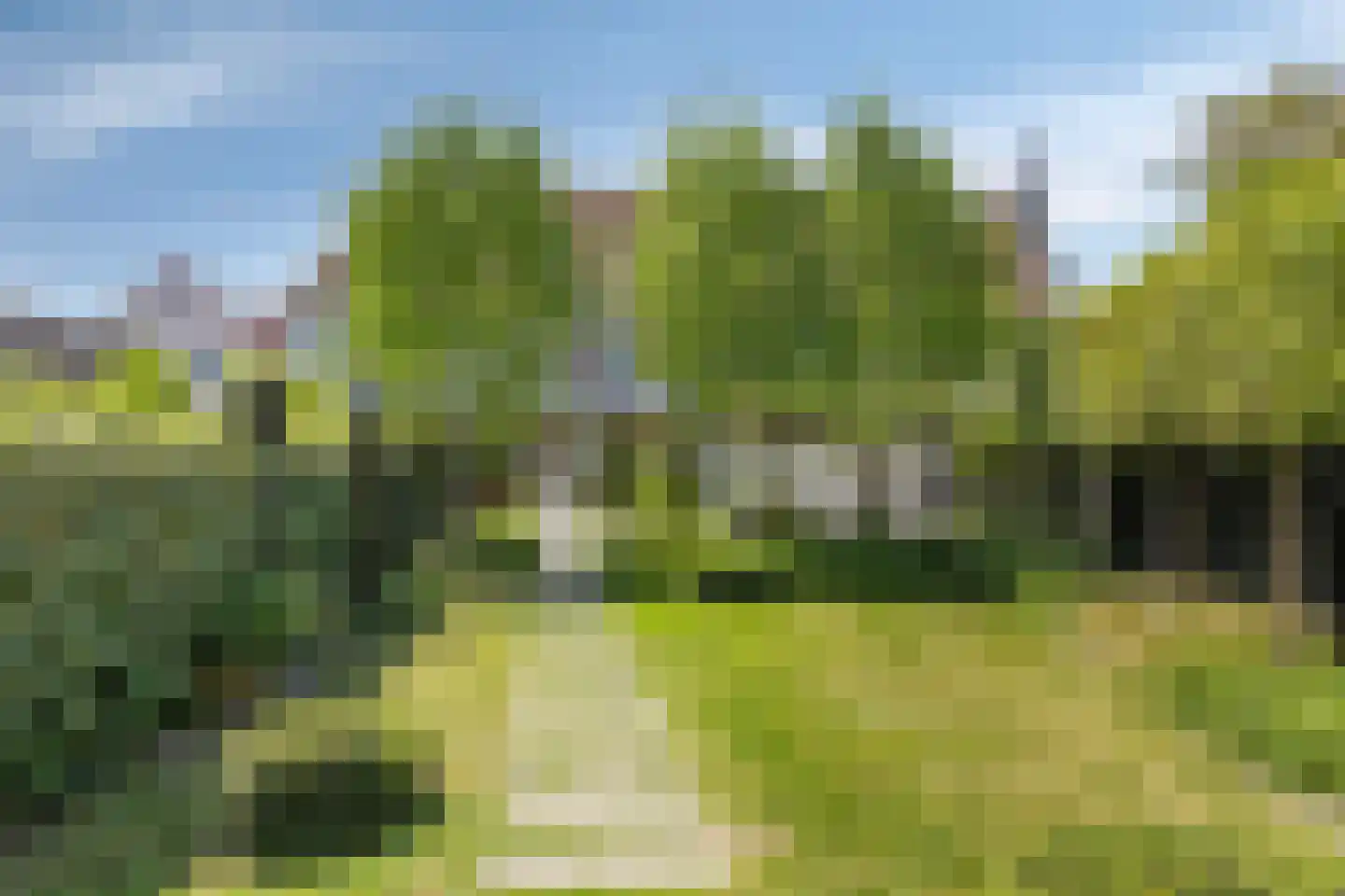 Bergstraat 9 Doesburg thumbnail 55