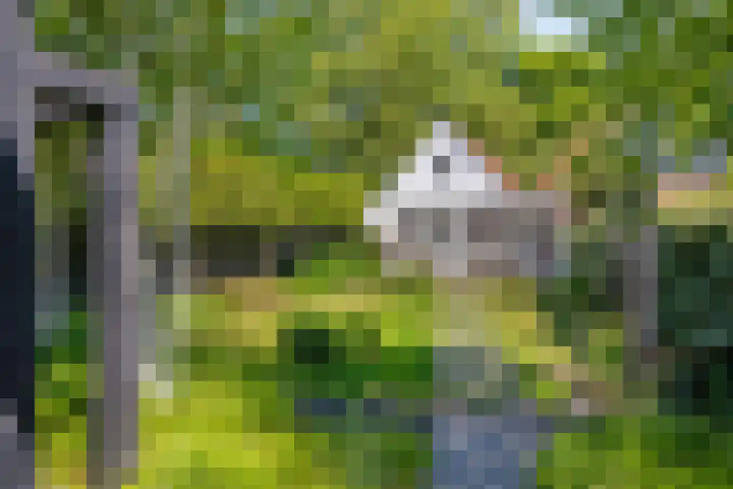 Bergstraat 9 Doesburg thumbnail 63