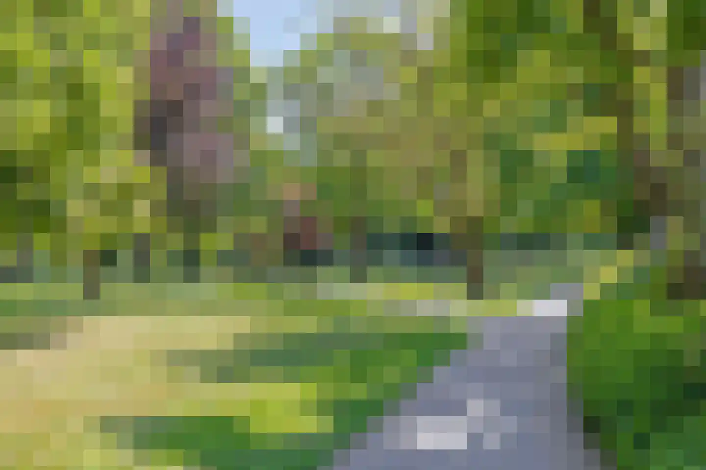 Bergstraat 9 Doesburg thumbnail 69