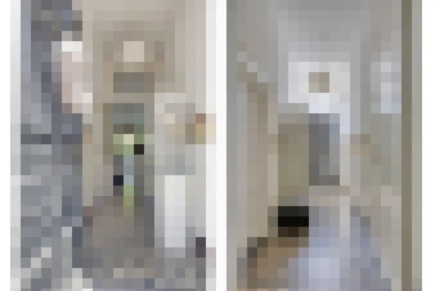 Bergstraat 9 Doesburg thumbnail 8
