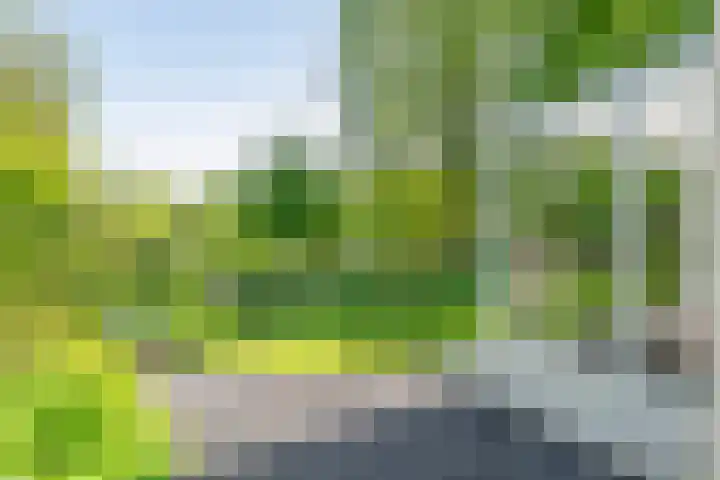 Bergstraat 9 Geleen thumbnail 30