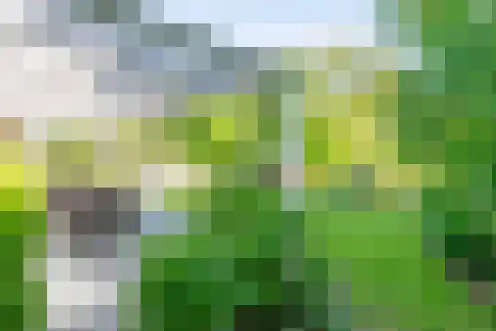 Bergstraat 9 Geleen thumbnail 32